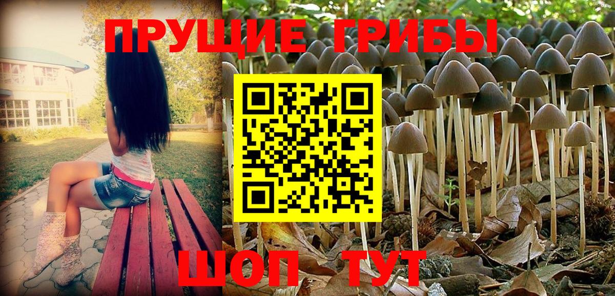Псилоцибиновые грибы MAGIC MUSHROOMS  где купить наркоту  Таганрог  Вход с VPN 